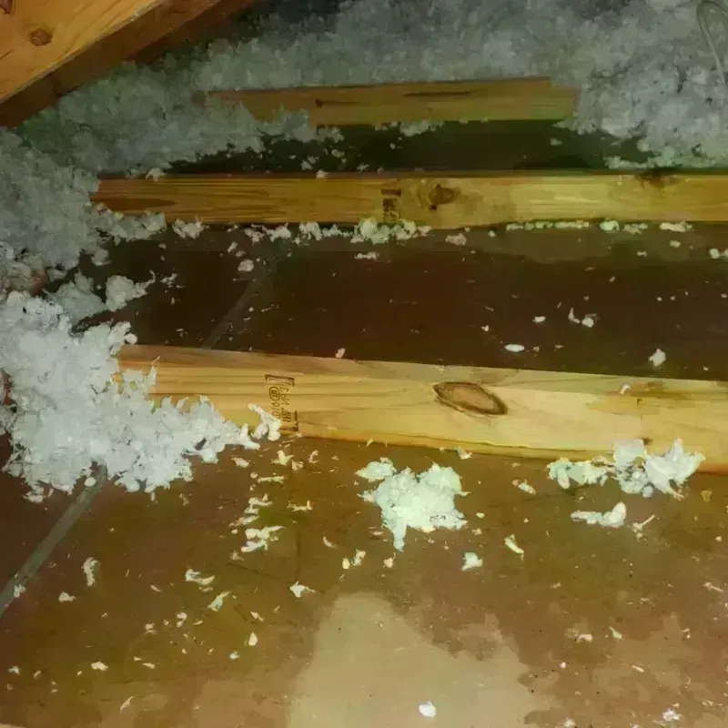 Attic Water Damage in Garland, UT