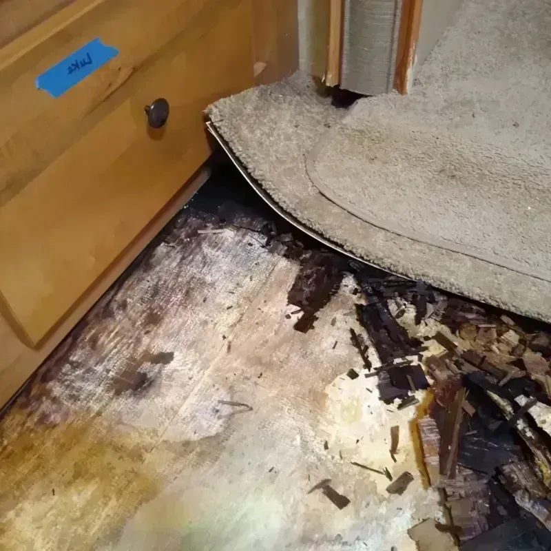 Best Wood Floor Water Damage Service in Garland, UT